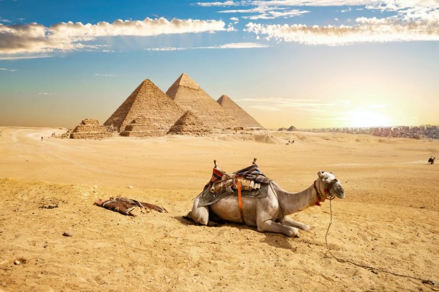 From Sharm El Sheikh: Cairo Private Day Trip by Plane