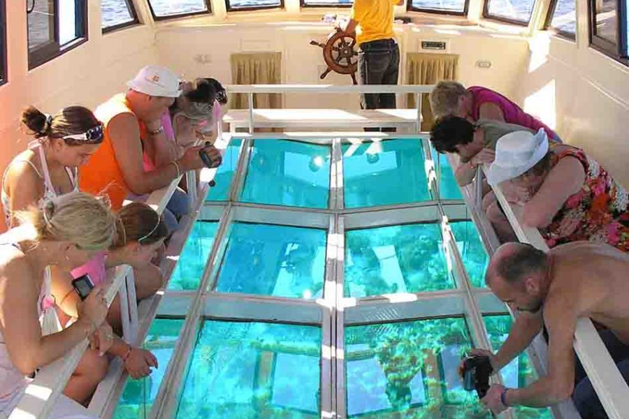 Glass Bottom Boat